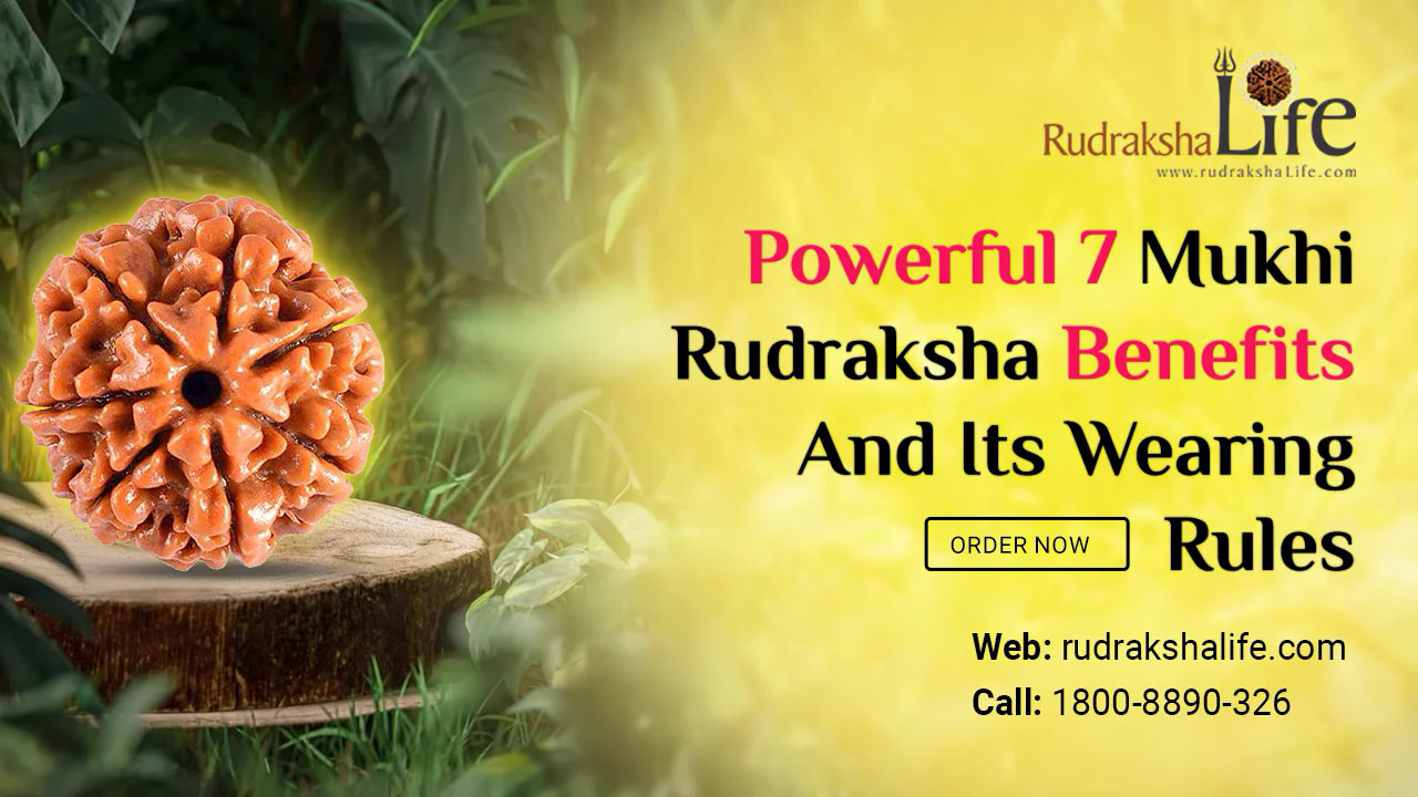 Powerful 7 Mukhi Rudraksha Benefits And Its Wearing Rules